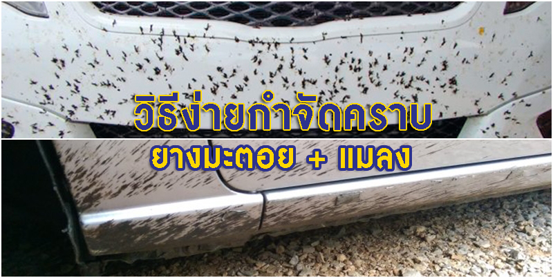 วิธีง่ายๆ ในการกำจัด คราบยางมะตอย-แมลง ที่ติดมากับรถยนต์